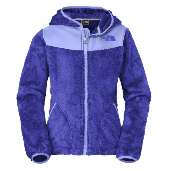 The North Face Other - The North Face Oso Hooded Plush Fleece Jacket